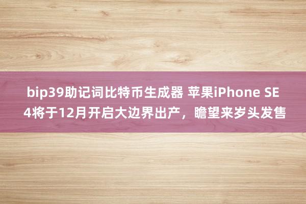 bip39助记词比特币生成器 苹果iPhone SE 4将于12月开启大边界出产，瞻望来岁头发售